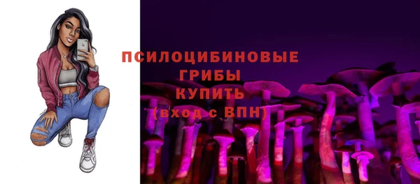 гидра Алзамай